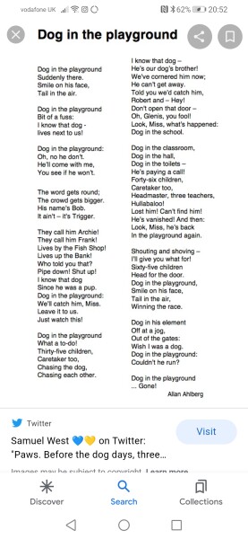 Does anyone remember pet dogs being let out to roam???