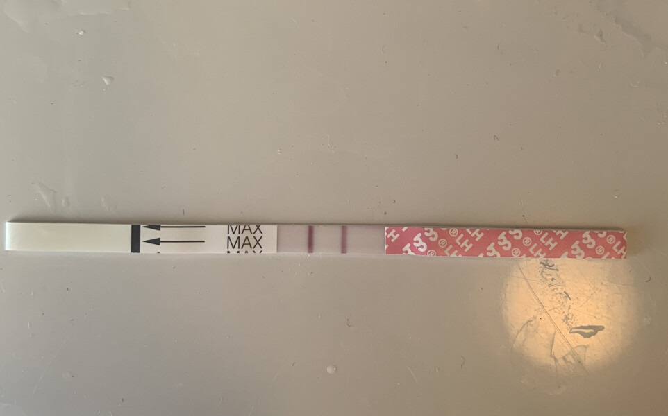 Ovulation 