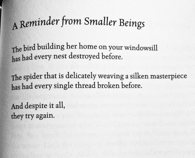 Christian prayer and chat thread  Open to all