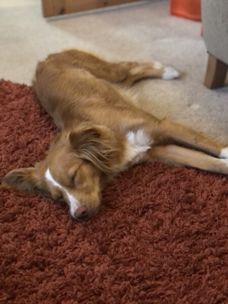 Week 5 - May 22 Low Carb Bootcamp.  The second half!