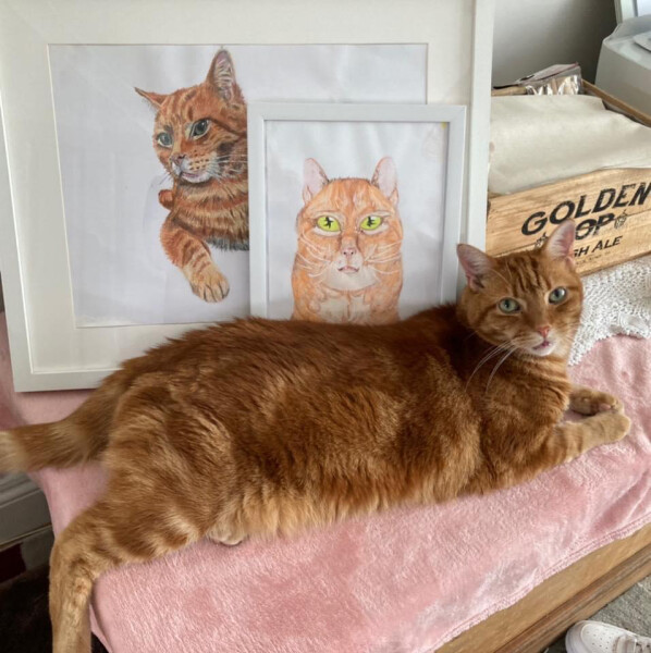 To ask which painting you like best