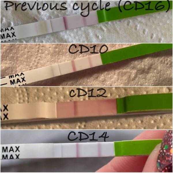 Opk results? Which looks peak?
