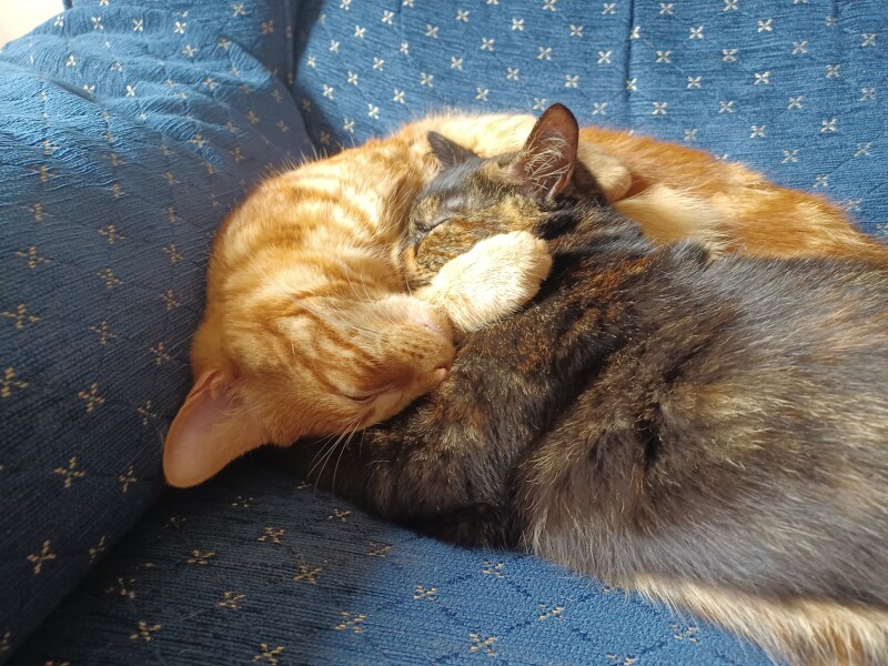 War and Peace Readalong thread 2022 - thread 2