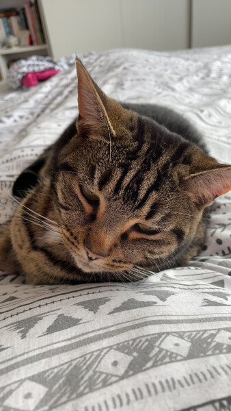 To a life well spent – RIP Cap'n V