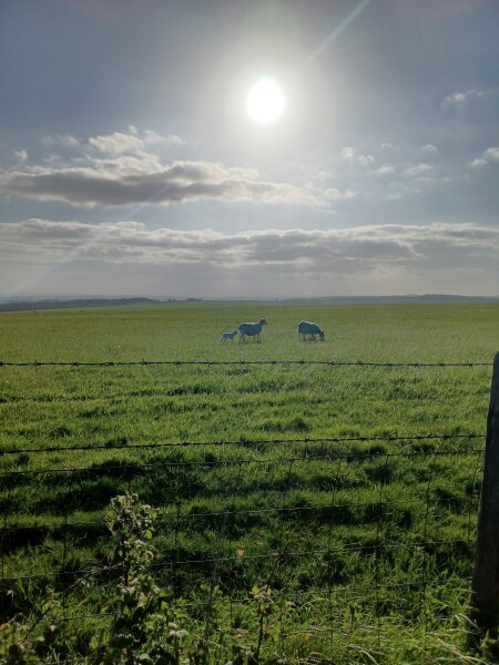 Come chat hiking with me!