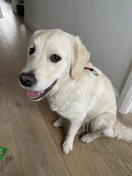 Week 6 - May 22 Low Carb Bootcamp - putting this weekend firmly behind us!