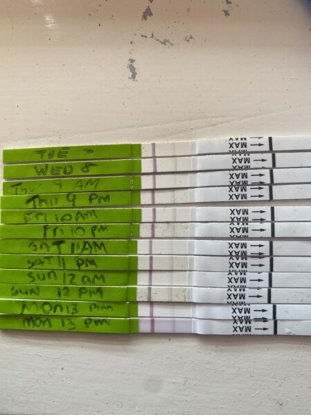 Ovulation strip help?!