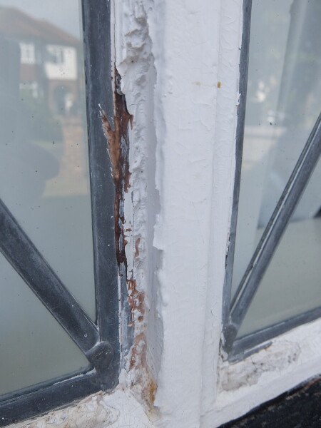 Repairing bird damage to putty on leaded windows
