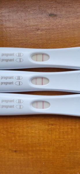 Due February 2023 ❤️💙💛💖