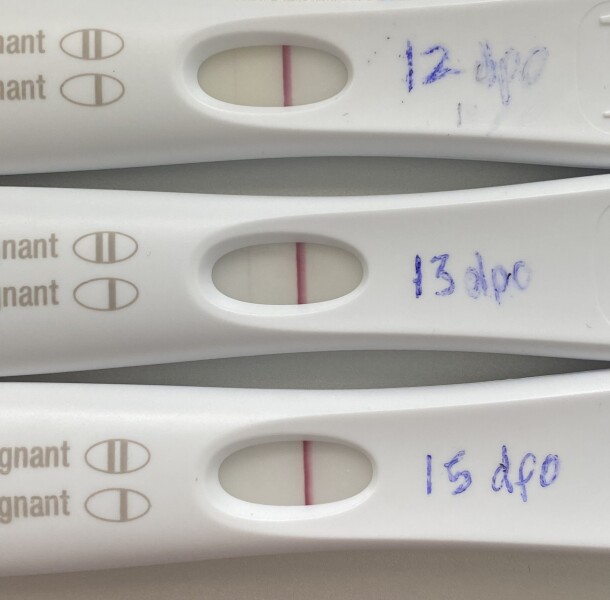 3dpo - cycle buddies ?
