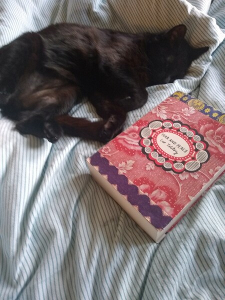 War and Peace Readalong thread 2022 - thread 2