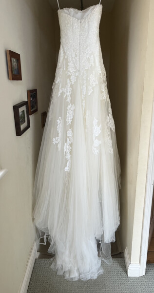 Just found my perfect dress in a charity shop!