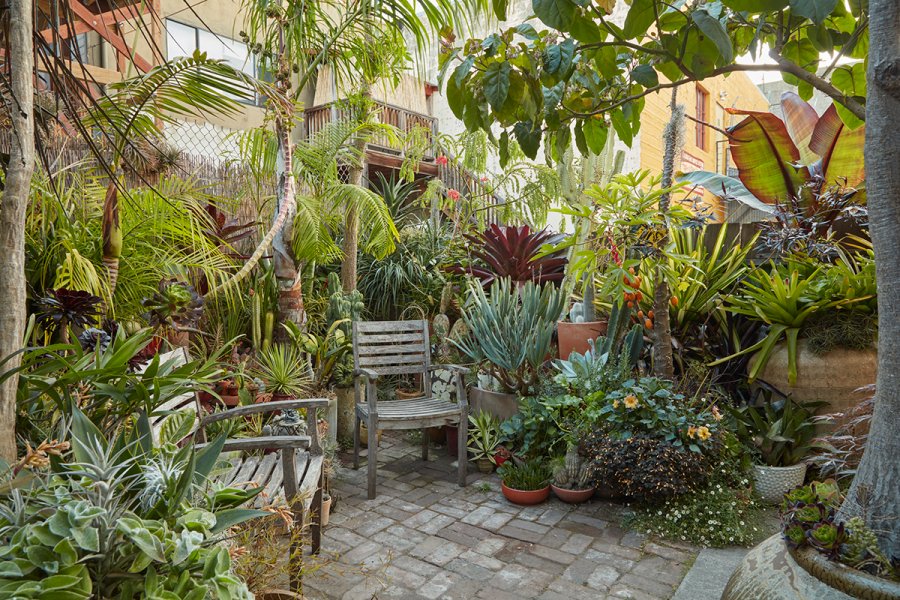Horrible garden, great location