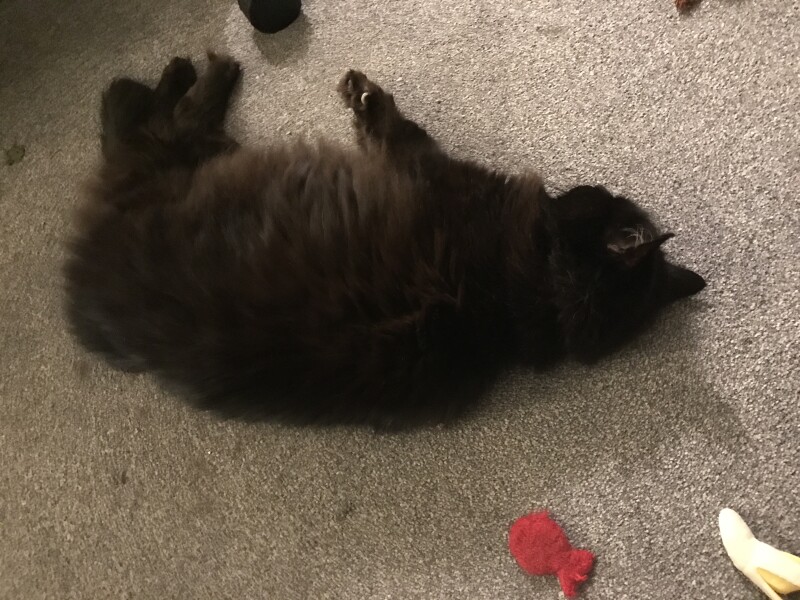To a life well spent – RIP Cap'n V