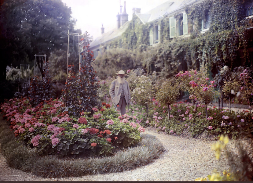 Claude Monet’s garden - what is this plant?