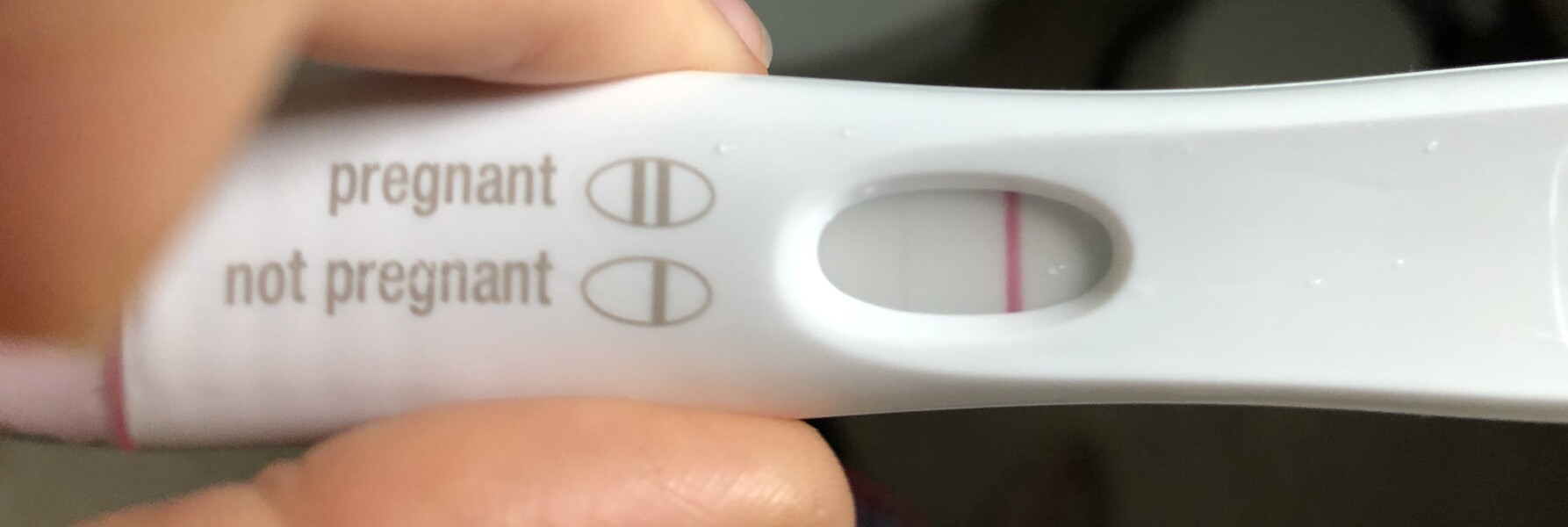 Due Feb/Mar after MC 🌈 🙈