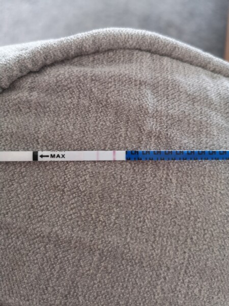 Ovulation 