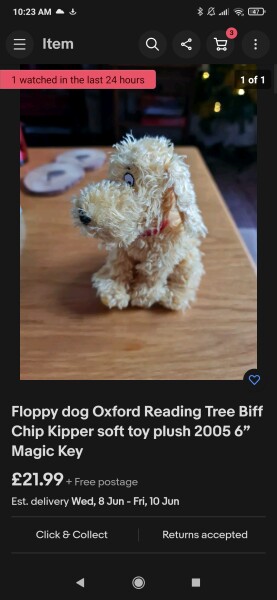 Help - I’ve lost the class toy pet! 