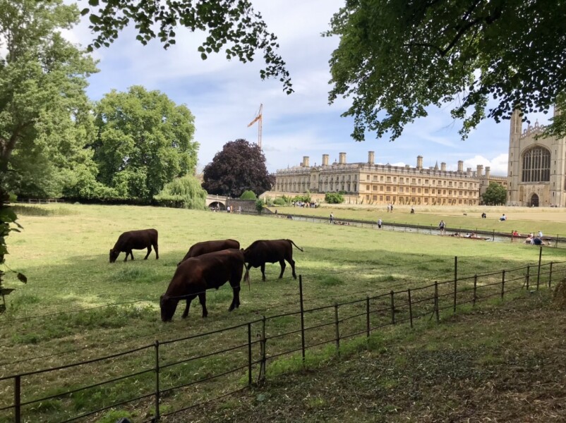 Come and tell me your dull and unexciting news 23: Calmly through the day 