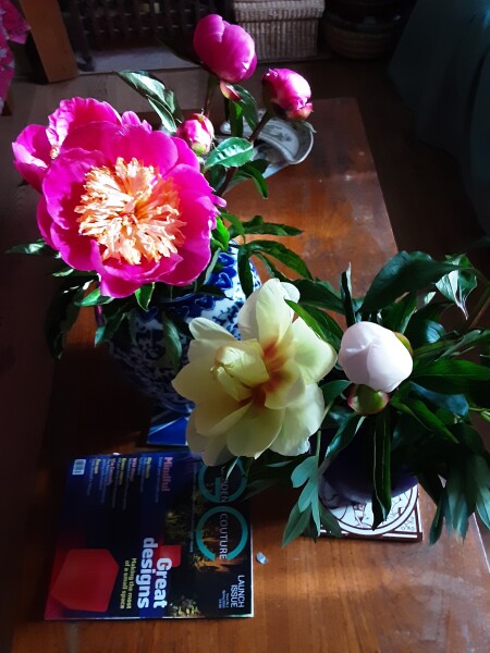 Boris Johnson, FPN's, and Sue Gray report due.  Thread 5