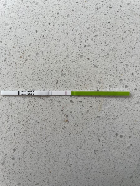 Ovulation 