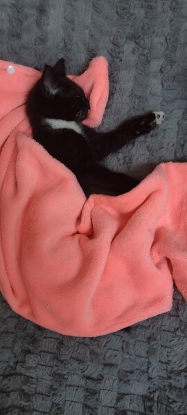 To a life well spent – RIP Cap'n V