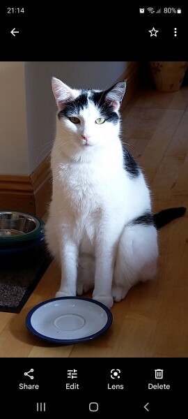 War and Peace Readalong thread 2022 - thread 2