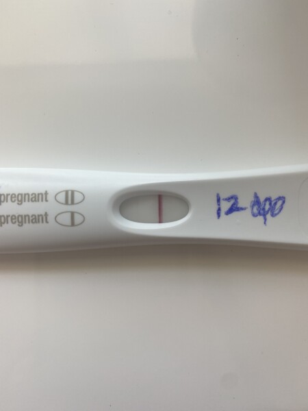 3dpo - cycle buddies ?