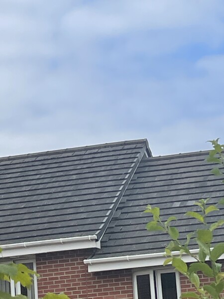 Home Report - should I wait until defect is fixed 