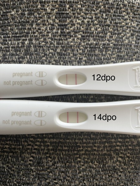Due Late Feb / Early March 2023 💖💙💐🌈