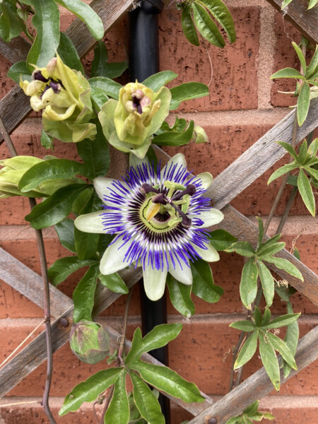 Show Us Your Pictures 6