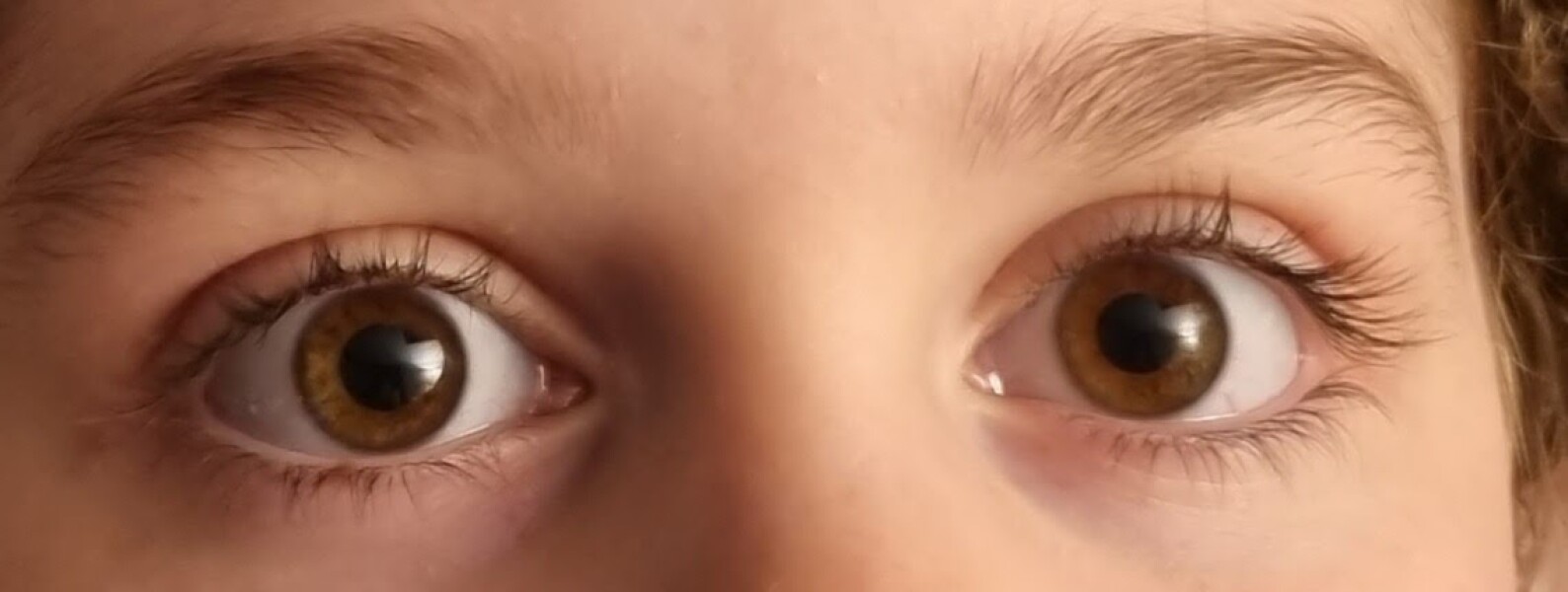 What colour are DS' eyes? 