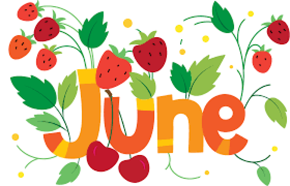 LOSE IT! JUNE 2022 ☀️ 