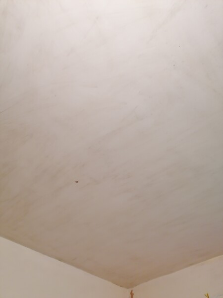 How to clean mold out of a ceiling
