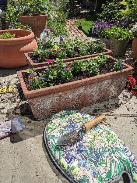*PICS* Complete novice with a blank slate garden