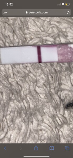 Evap lines?
