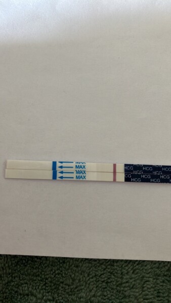 Is this the start of BFP?