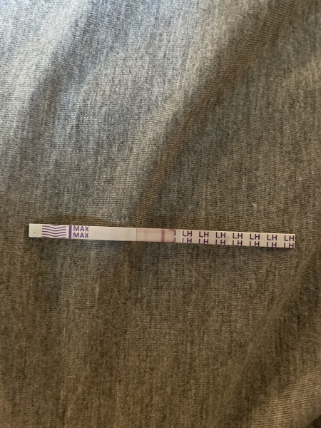 Ovulation 