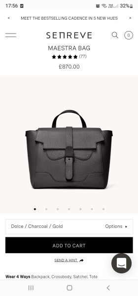 Convertible shoulder bag/backpack?
