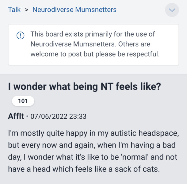 I wonder what being NT feels like?