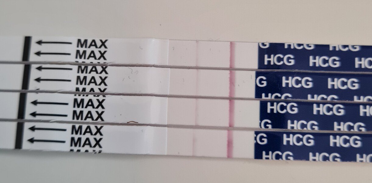 Line progression 9&10DPO