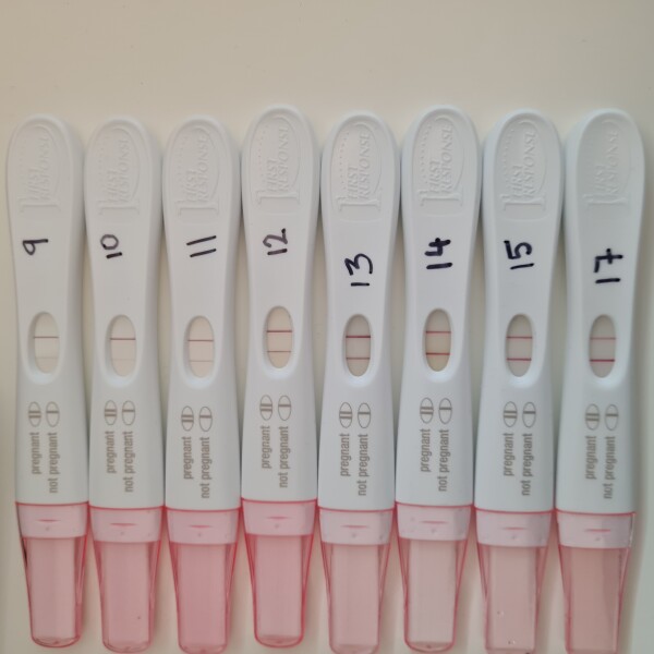 Line progression 9&10DPO