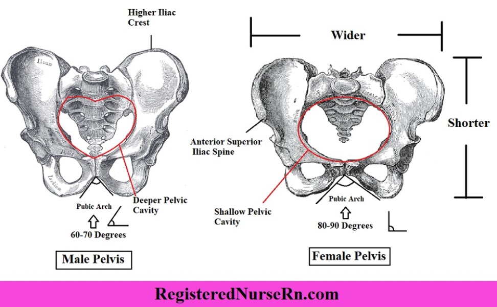 Transwomen are really upset by HRT shortages