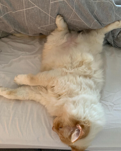 Amble into April Frugaleering