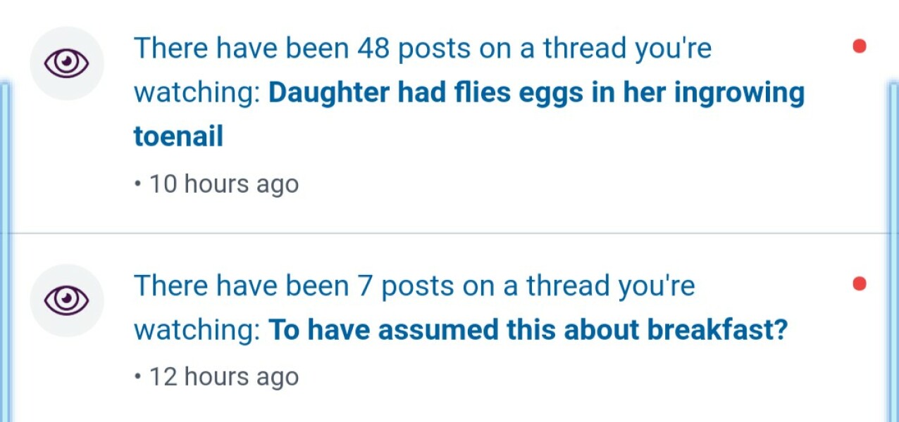 Daughter had flies eggs in her ingrowing toenail