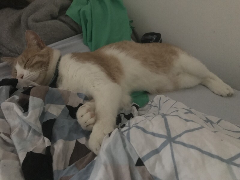 To a life well spent – RIP Cap'n V