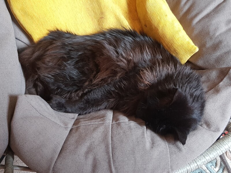 To a life well spent – RIP Cap'n V