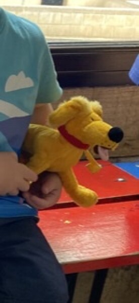 Help - I’ve lost the class toy pet! 