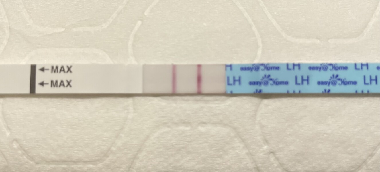 OPK positive?