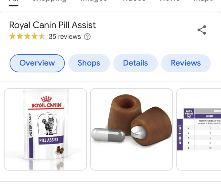 Tips on getting tablets into cat? 